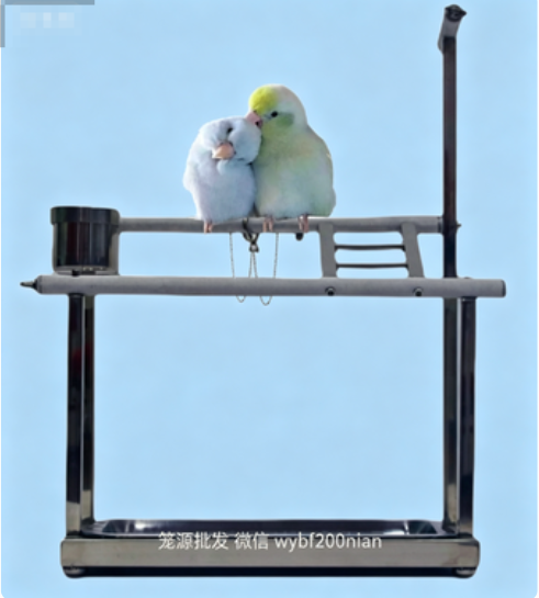 带横梯版的鹦鹉站架，鸟类站架批发
