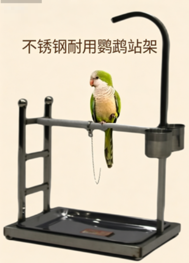 带梯式的鹦鹉站架，不锈钢小型鹦鹉站架批发